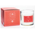 Newgrange Living -  Festive Spice Candle
